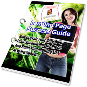 Landing Page Success Guide Landing Page Success Guide